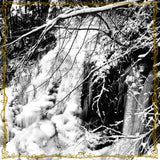 MOLOCH - Forest Kingdom LP GREEN VINYL
