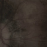 PALE SPEKTRE - Bereft of Xerotic Layers TAPE (2025 Reissue) [PRE-ORDER]