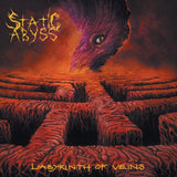 STATIC ABYSS - Labyrinth Of Veins LP BLACK VINYL