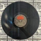 UNHOLY REDEEMER - Journey Beyond Death LP [PRE-ORDER]