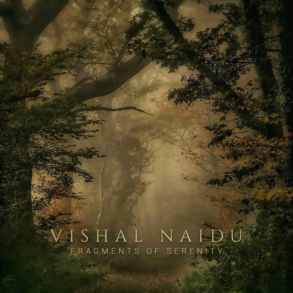 VISHAL NAIDU - Fragments Of Serenity TAPE