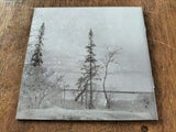 OLD WAINDS - Where The Snows Are Never Gone... CD DIGIPAK (2026 Reissue)